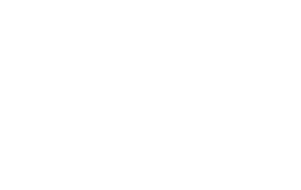 The Vintage Caravan's brand logo